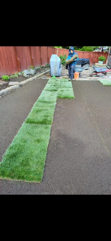 Custom outdoor landscaping for beautiful yards in Bellevue, WA by J C Landscaping