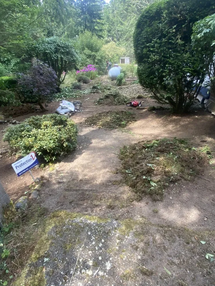 Local residential landscaping in Bellevue, WA by J C Landscaping