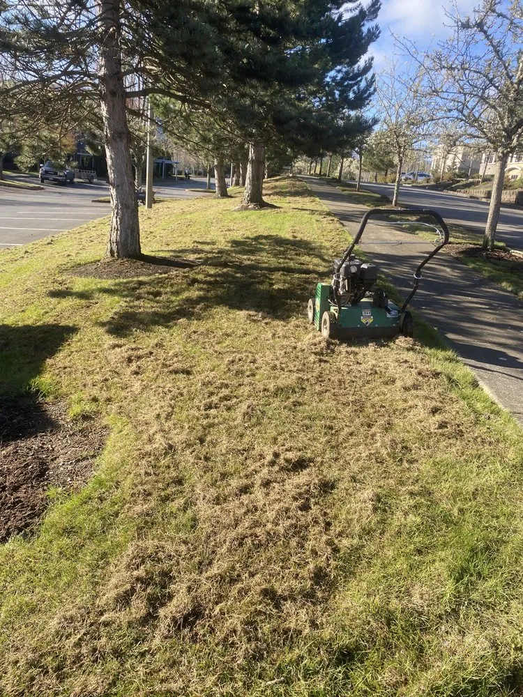 Professional residential landscaping in Bellevue, WA by J C Landscaping