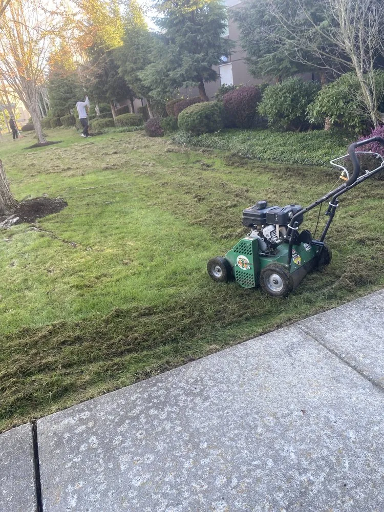 Trusted landscaping services experts serving Bellevue, WA - J C Landscaping