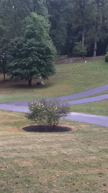 Trusted lawn mowing service near you across Clarksburg, MD - J C Landscaping