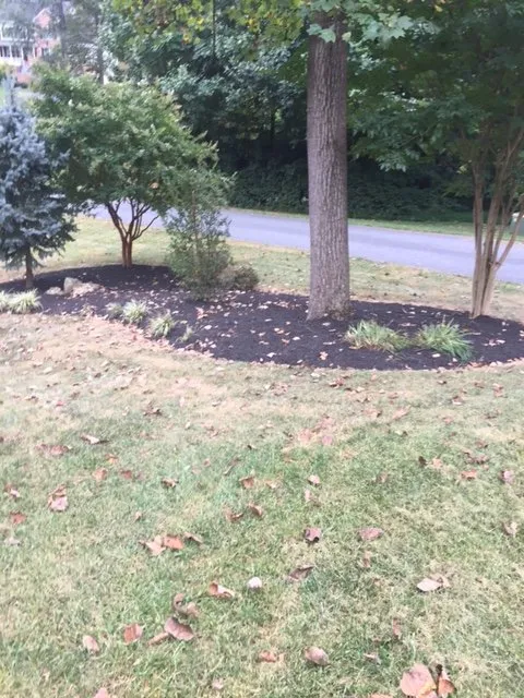 Reliable yard maintenance experts serving Clarksburg, MD - J C Landscaping