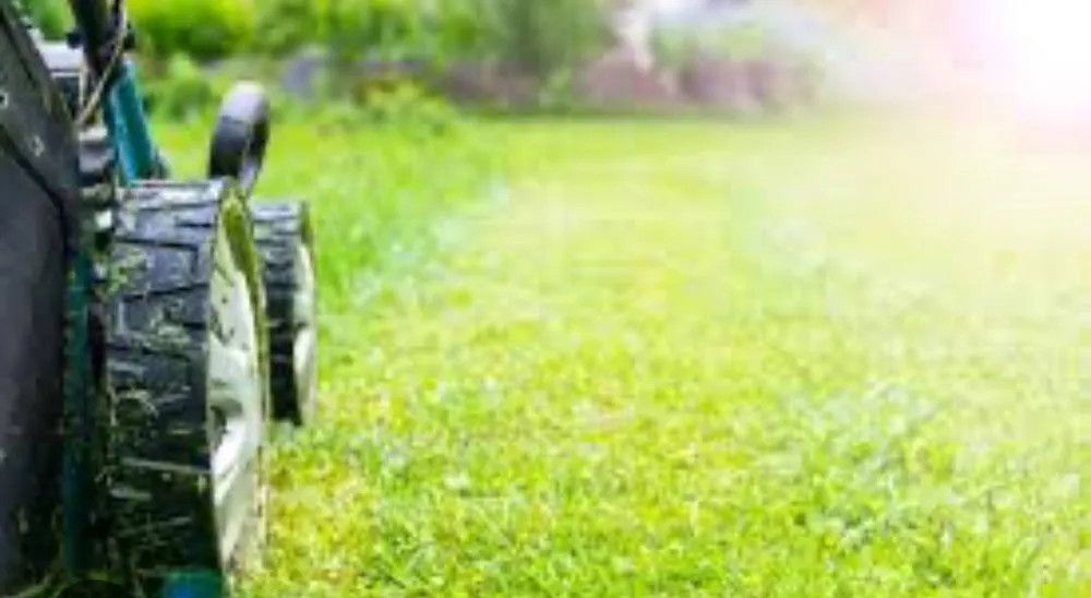 Affordable outdoor landscaping in Toledo, OH by J C Lawn Care