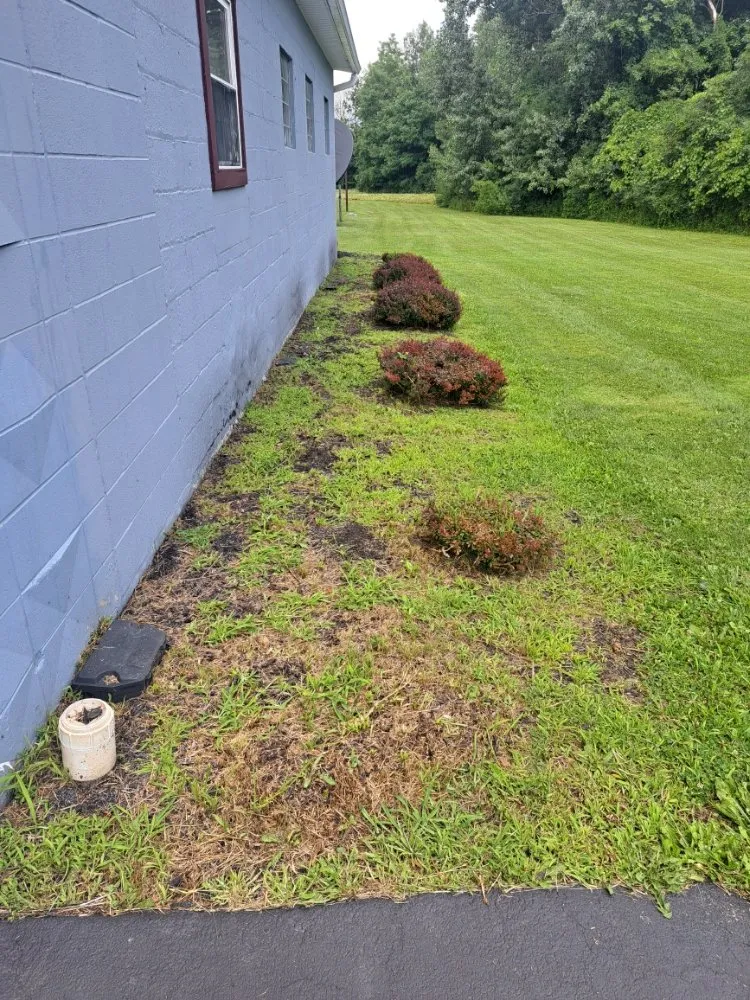 Expert yard cleanup service experts serving Waterloo, NY - J C Tree & Lawn Care