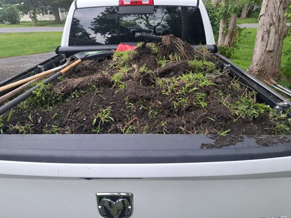 Reliable yard cleanup service in Waterloo, NY by J C Tree & Lawn Care