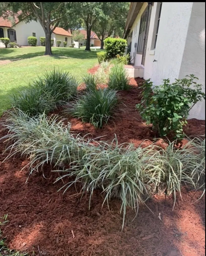 Top-rated residential landscaping with custom design in Avon Park, FL by J Callahan Lawncare