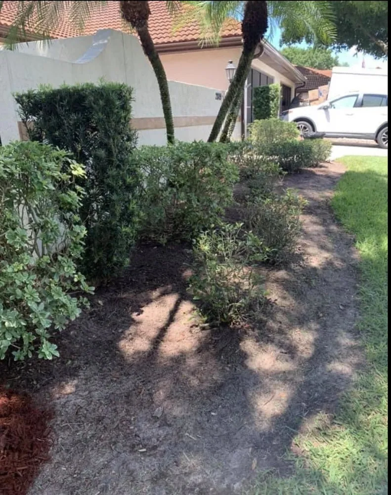 Custom lawn mowing service for outdoor upgrades in Avon Park, FL by J Callahan Lawncare