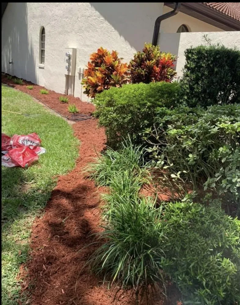 Professional residential landscaping experts serving Avon Park, FL - J Callahan Lawncare