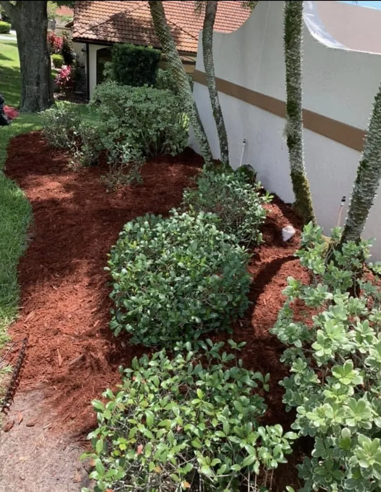 Trusted outdoor landscaping in Avon Park, FL - J Callahan Lawncare