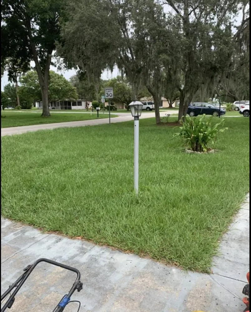 Local yard cleanup service in Avon Park, FL by J Callahan Lawncare