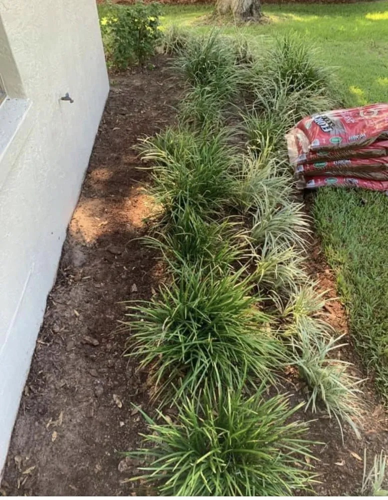 Local lawn care service with custom design across Avon Park, FL - J Callahan Lawncare