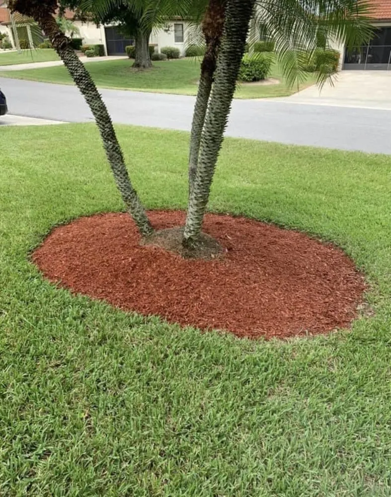 Custom lawn mowing service in Avon Park, FL by J Callahan Lawncare