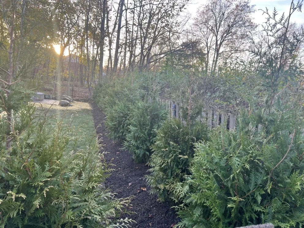 Custom yard cleanup service with custom design in Stirling, NJ by J Campos Landscaping & Construction