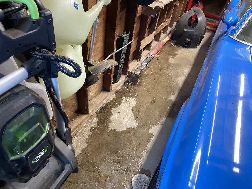 Top-rated yard cleanup service for beautiful yards across Uniondale, NY - J. Canales