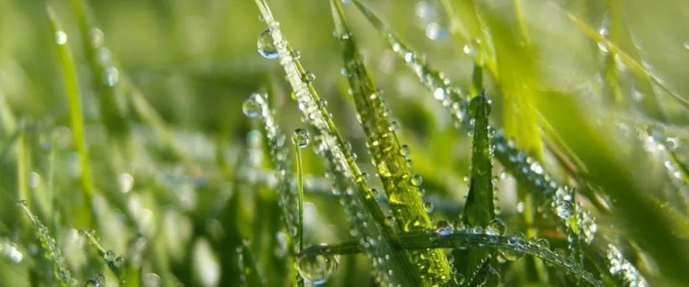 Affordable garden landscaping experts serving Falls Church, VA - J. Canas Lawn & Landscaping