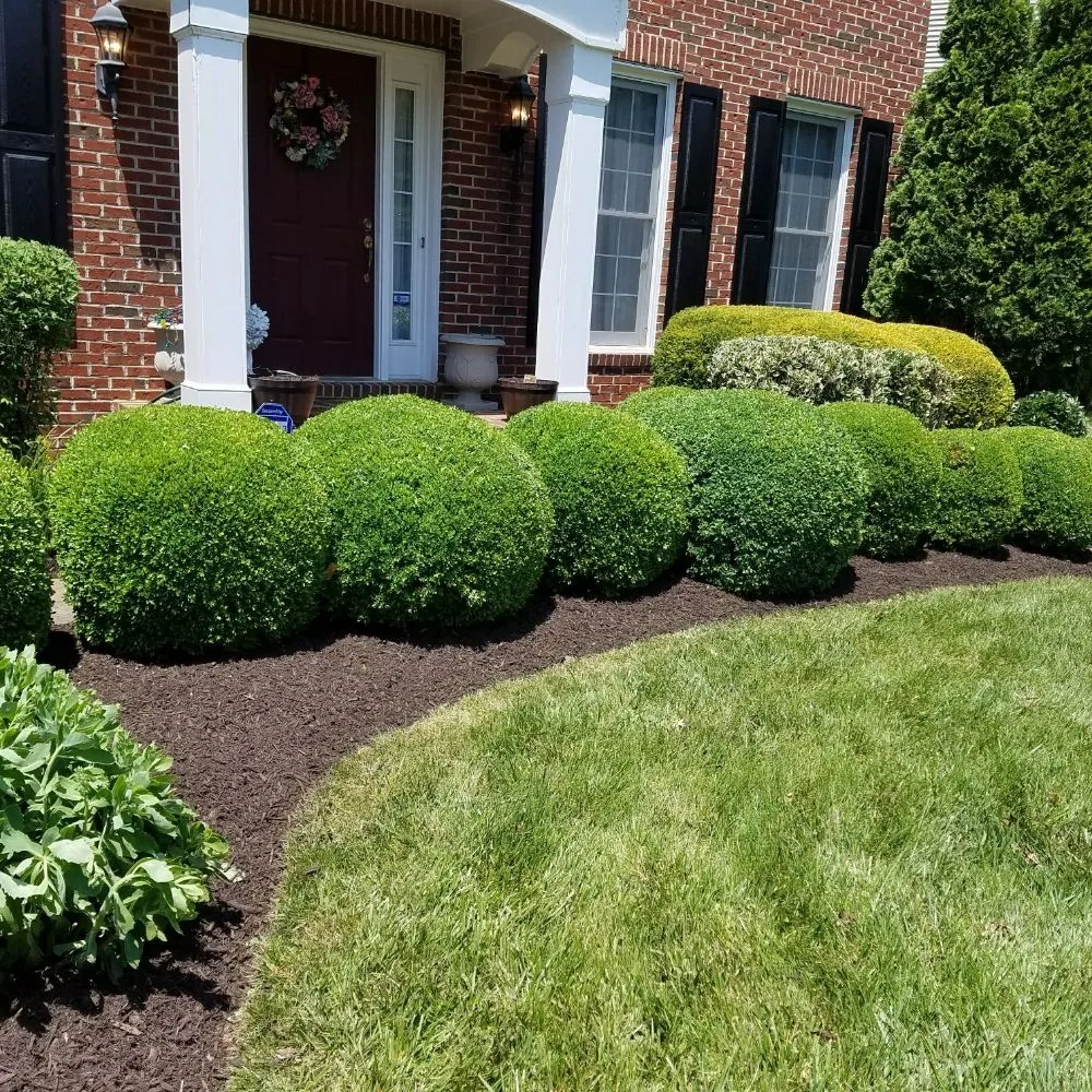 Trusted landscaping services in Falls Church, VA by J. Canas Lawn & Landscaping