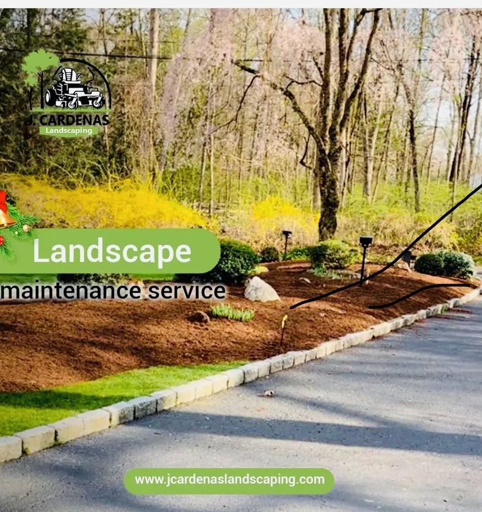 Affordable yard maintenance in Norwalk, CT - J Cardenas