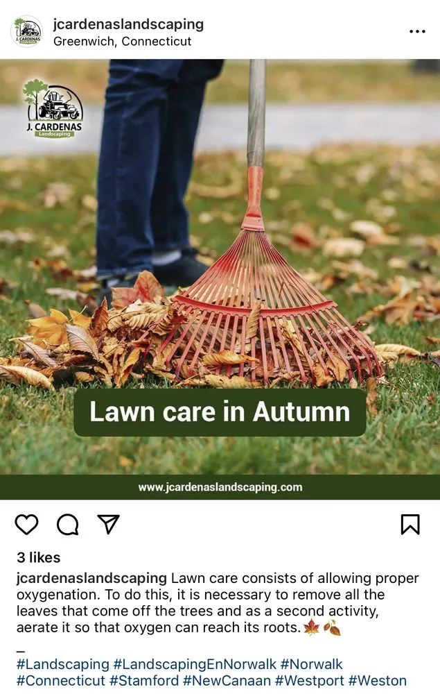 Custom lawn care service experts serving Norwalk, CT - J Cardenas