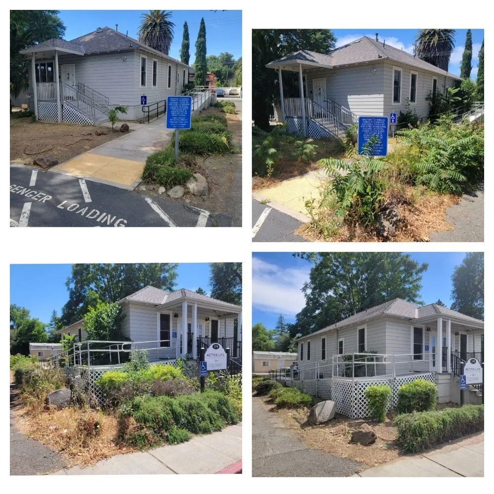 Professional residential landscaping for beautiful yards across Woodland, CA - J Castro Landscaping