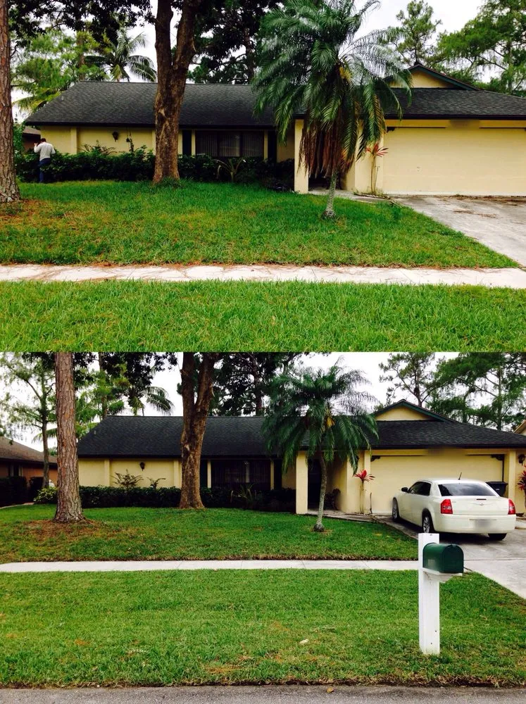 Affordable outdoor landscaping in Boynton Beach, FL - J Cat's Backyard