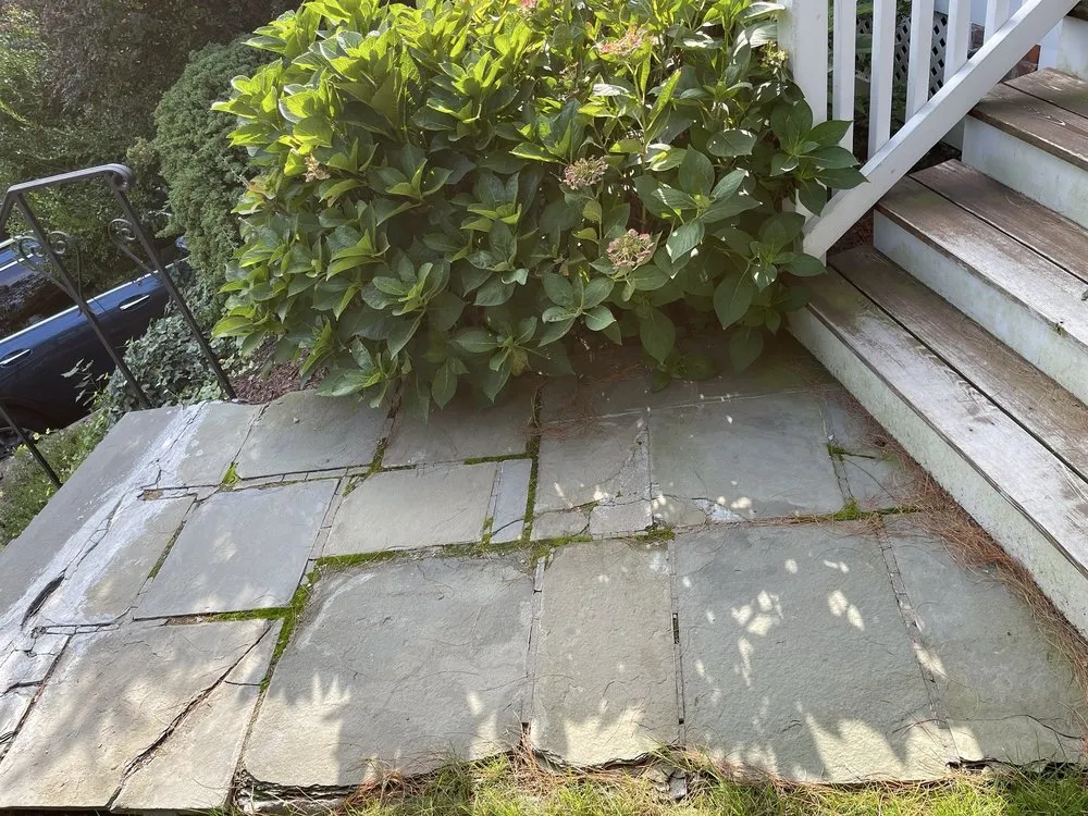 Top-rated lawn mowing service experts serving New Rochelle, NY - J Coyt landscaping