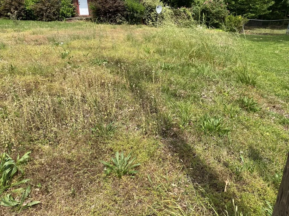 Professional landscape design in West Point, GA by J Crowe Properties