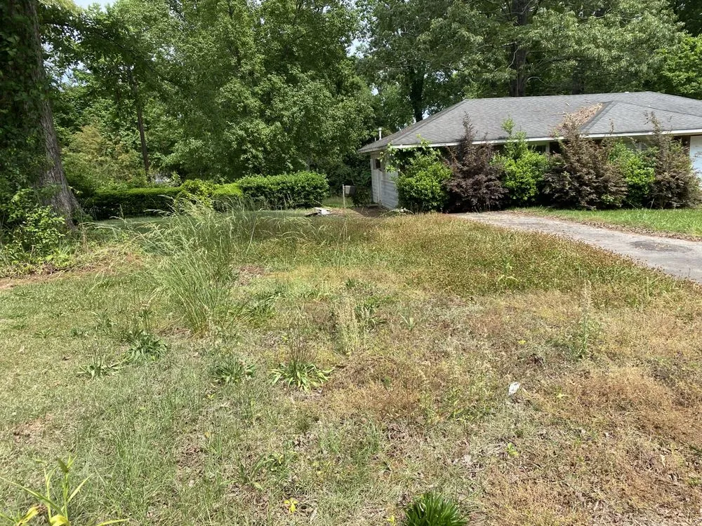 Professional outdoor landscaping for year-round maintenance in West Point, GA by J Crowe Properties