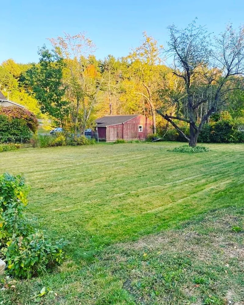 Custom yard cleanup service in Fitchburg, MA by J Cruz Landscaping