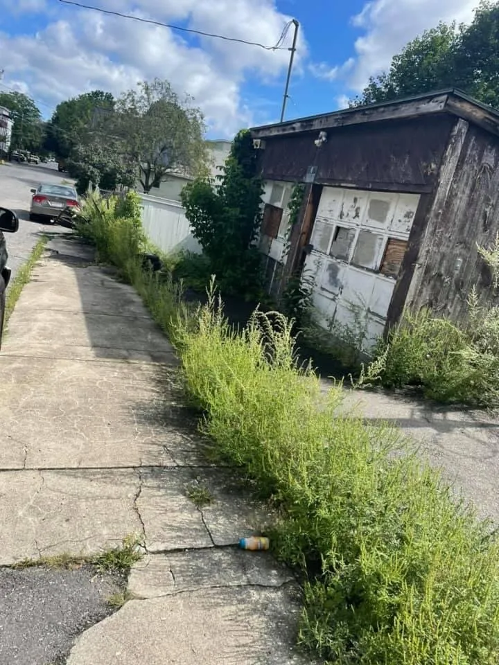 Professional landscape installation near you in Fitchburg, MA by J Cruz Landscaping