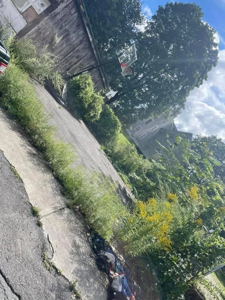 Reliable landscaping services in Fitchburg, MA by J Cruz Landscaping