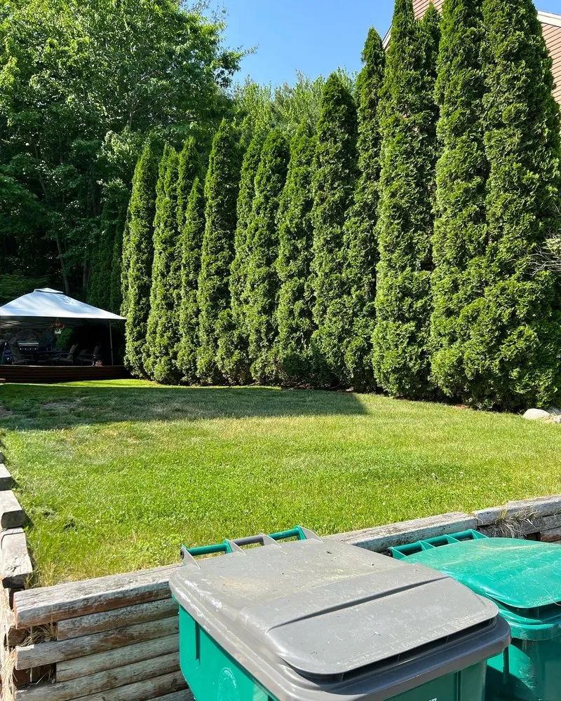 Trusted lawn care service experts serving Fitchburg, MA - J Cruz Landscaping