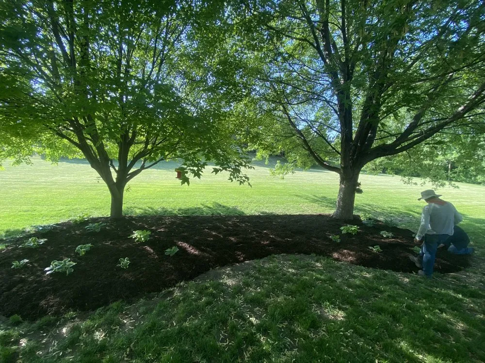 Trusted yard maintenance near you in Bartlett, IL by J Curiel Lawn Care