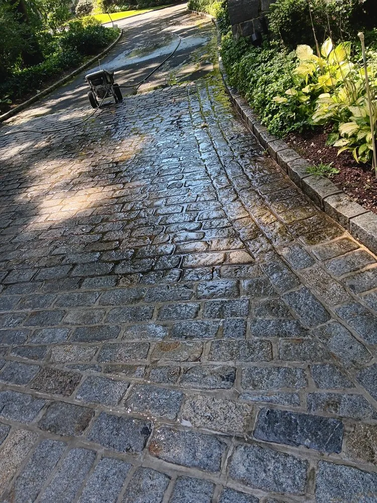 Expert yard maintenance in Mineola, NY - J D Hernandez Landscaping Designing & Planting