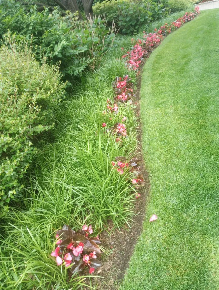 Trusted landscape installation in Mineola, NY - J D Hernandez Landscaping Designing & Planting