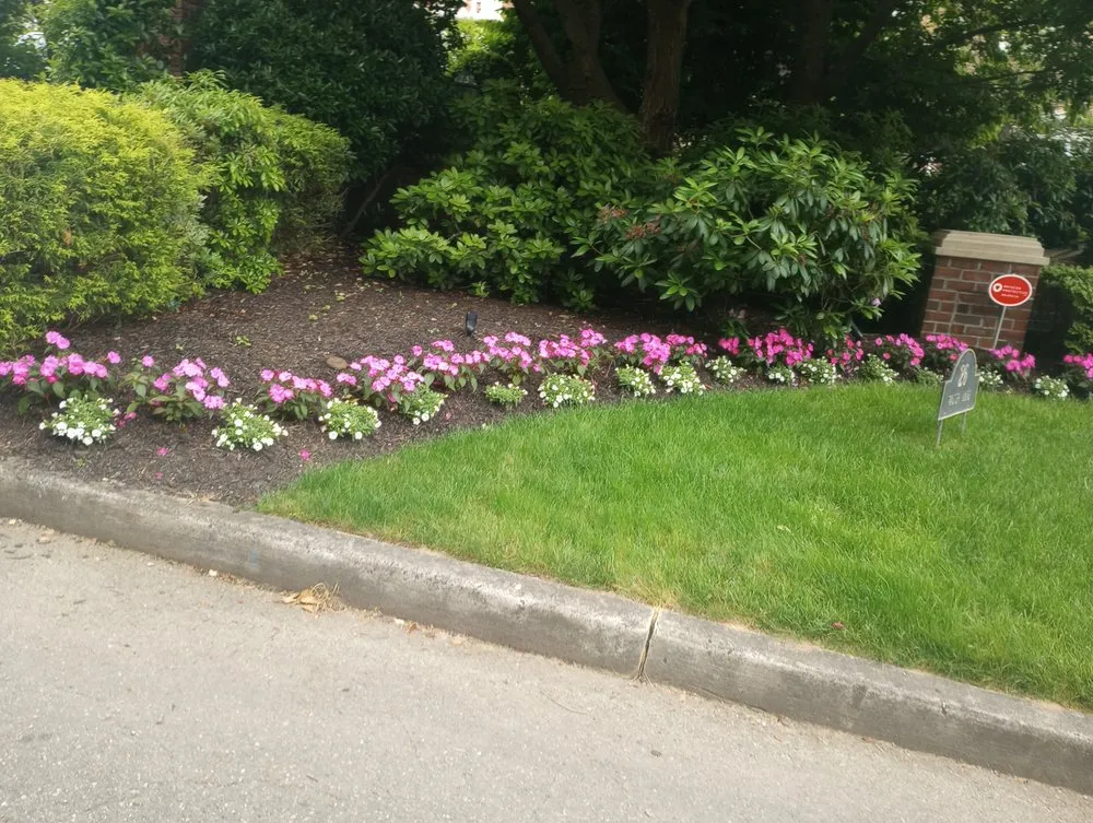 Trusted lawn care service in Mineola, NY by J D Hernandez Landscaping Designing & Planting