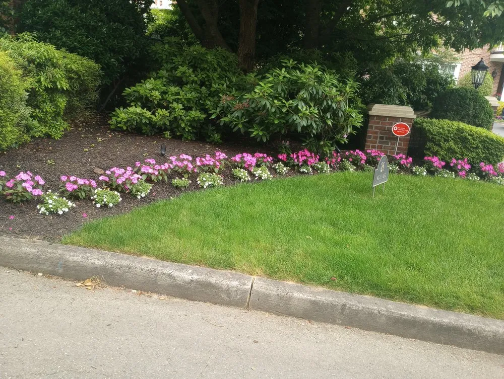 Trusted outdoor landscaping for homes across Mineola, NY - J D Hernandez Landscaping Designing & Planting