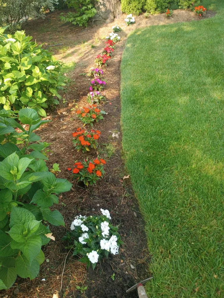 Professional outdoor landscaping in Mineola, NY - J D Hernandez Landscaping Designing & Planting