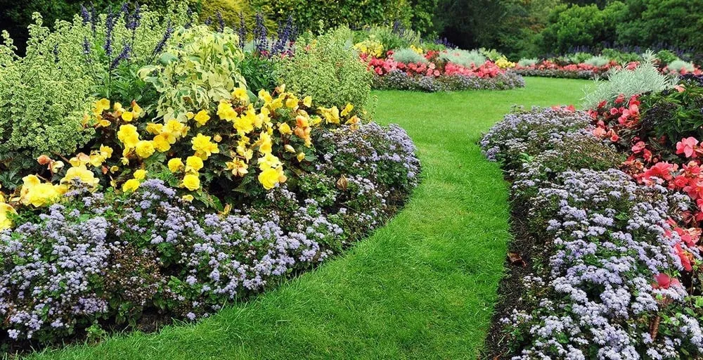 Custom yard maintenance experts serving Everett, WA - J D Landscape & More