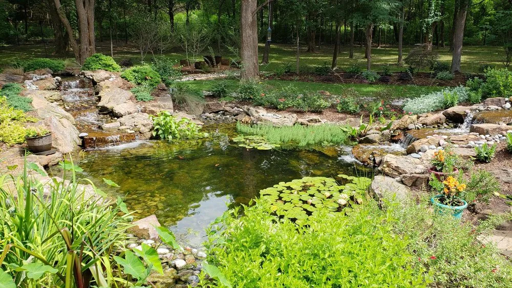 Trusted yard cleanup service for year-round maintenance in Pilot Point, TX by J D Naturescapes