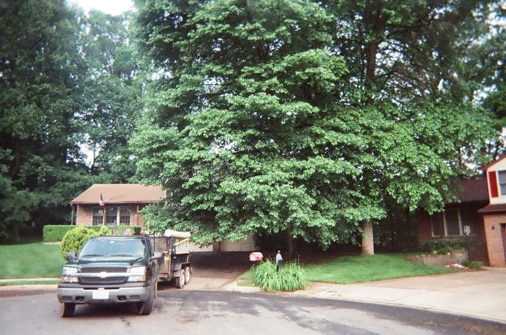 Top-rated landscaping services for outdoor upgrades across Pikesville, MD - J D Outdoors