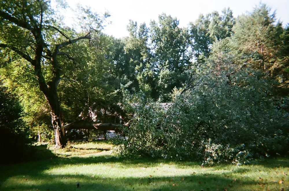 Reliable yard maintenance experts serving Pikesville, MD - J D Outdoors