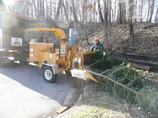 Reliable lawn mowing service for beautiful yards in Pikesville, MD by J D Outdoors