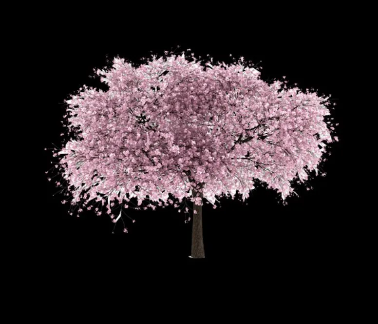 Top-rated landscape design in Herndon, VA by J Duran Landscaping Services