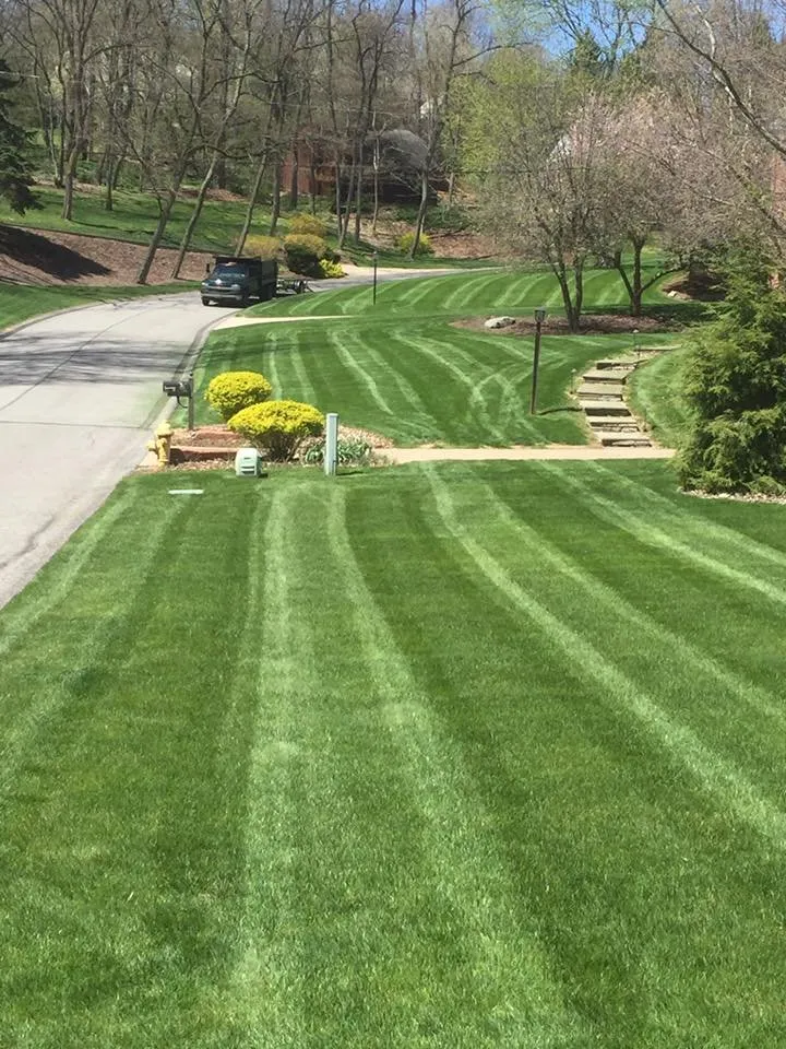 Custom yard maintenance for year-round maintenance in Eighty Four, PA by J E Bandi Lawn & Landscaping