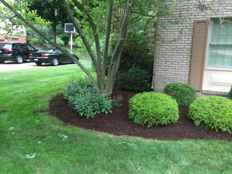 Local lawn care service experts serving Eighty Four, PA - J E Bandi Lawn & Landscaping