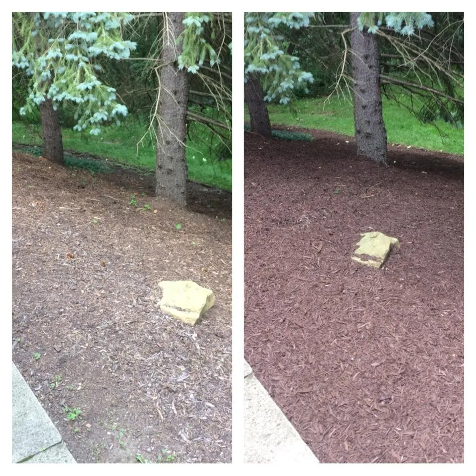 Expert outdoor landscaping experts serving Eighty Four, PA - J E Bandi Lawn & Landscaping