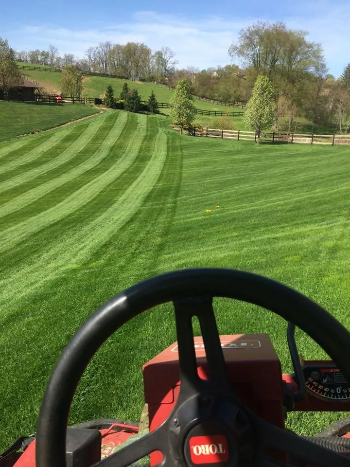 Local yard maintenance for outdoor upgrades across Eighty Four, PA - J E Bandi Lawn & Landscaping