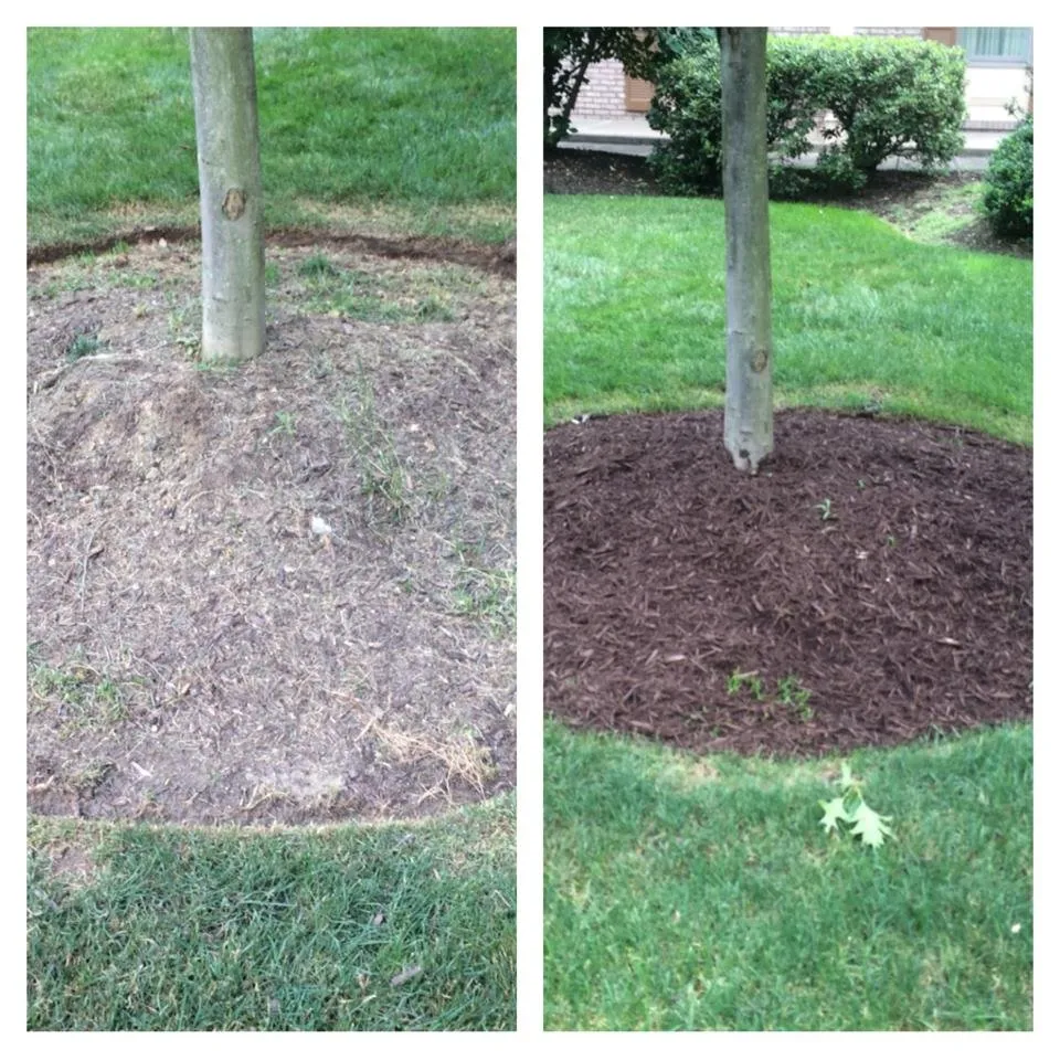 Top-rated yard maintenance experts serving Eighty Four, PA - J E Bandi Lawn & Landscaping