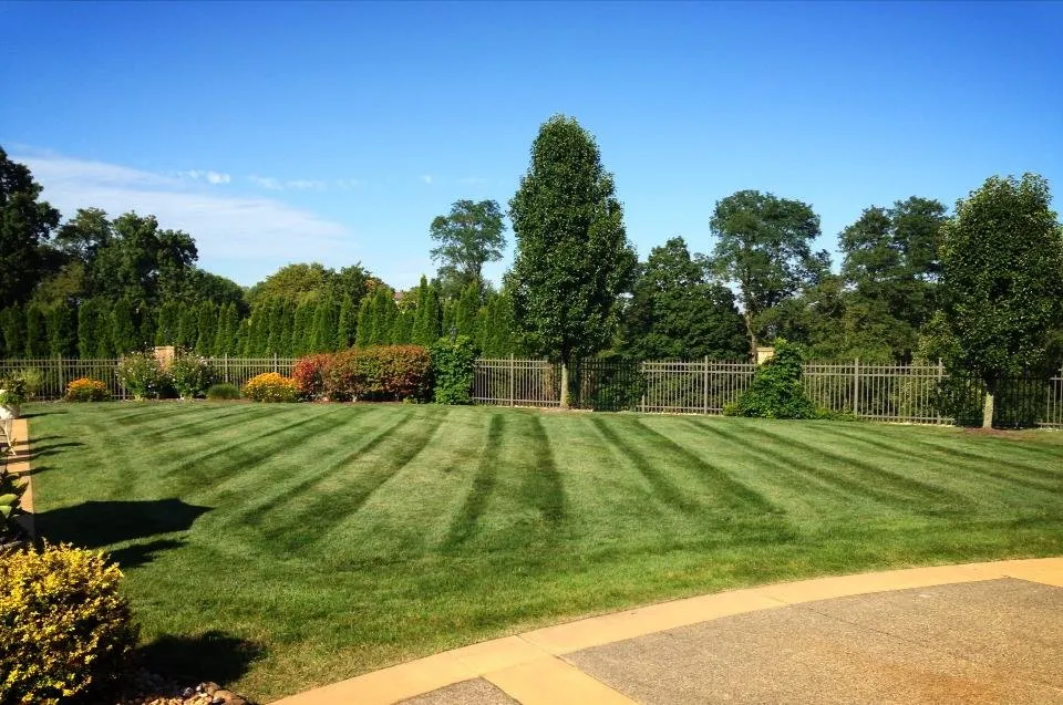Professional residential landscaping in Eighty Four, PA by J E Bandi Lawn & Landscaping