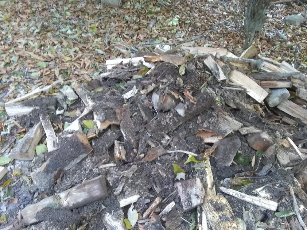 Professional landscape installation for residential properties in Tobyhanna, PA by J E Home Improvement & Landscaping